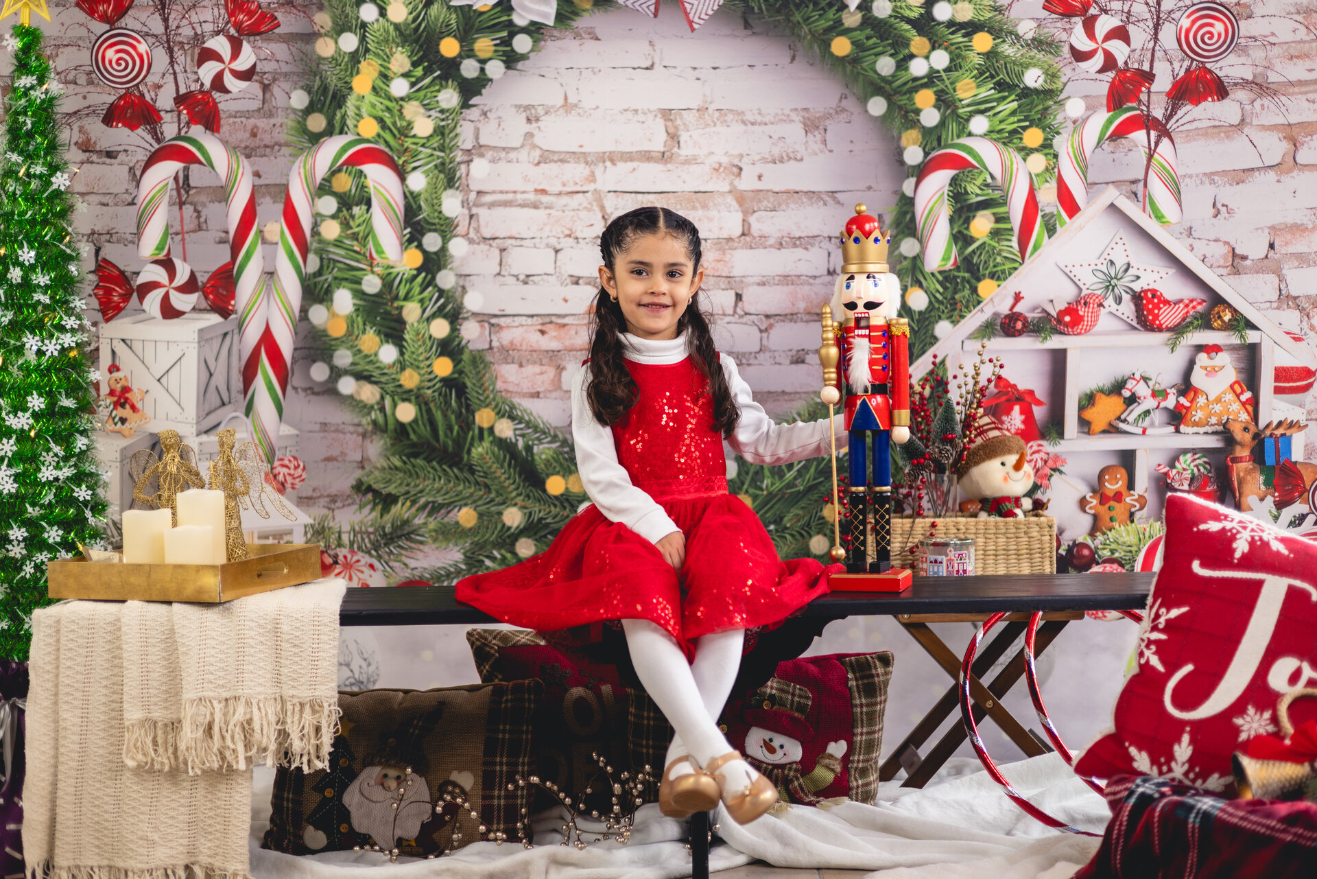 Christmas portrait elegant